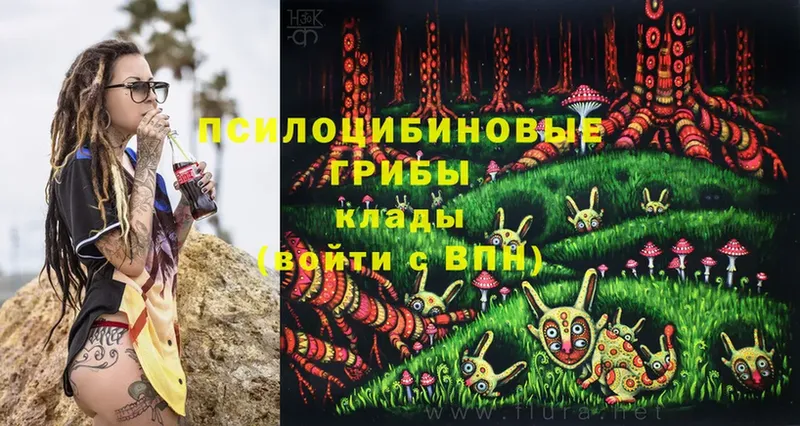 Галлюциногенные грибы Psilocybe  Серпухов 